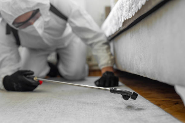 Professional Termite Control technician working in Point Baker, FL